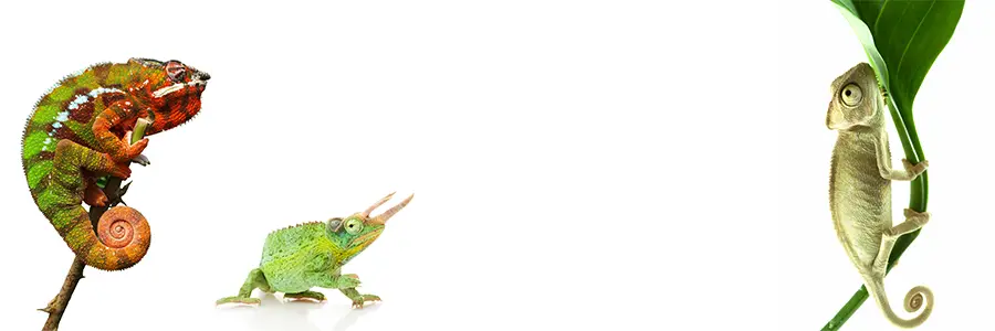 Slide background